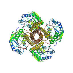BU of 9bhc by Molmil