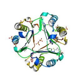 BU of 9bnr by Molmil