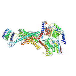BU of 9bp3 by Molmil