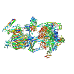 BU of 9brc by Molmil