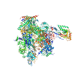 BU of 9bvt by Molmil