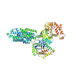 BU of 9bwt by Molmil