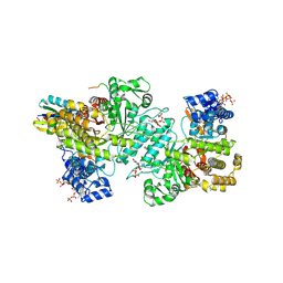 BU of 9bxt by Molmil