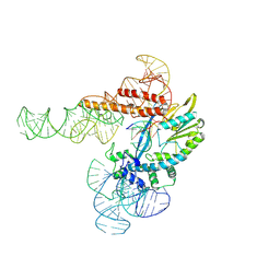 BU of 9c0i by Molmil