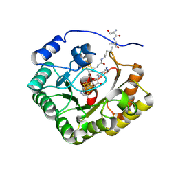 BU of 9c19 by Molmil