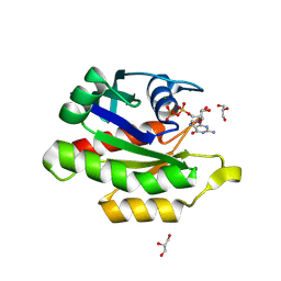 BU of 9c1a by Molmil