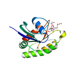 BU of 9c1b by Molmil