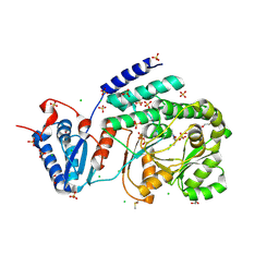 BU of 9c1c by Molmil