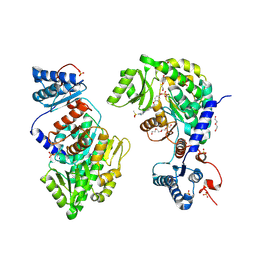 BU of 9c1v by Molmil