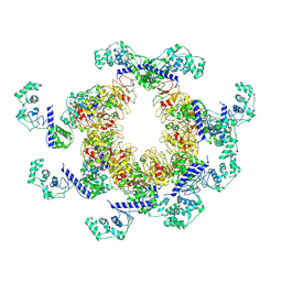 BU of 9c1x by Molmil
