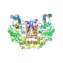 BU of 9c1y by Molmil