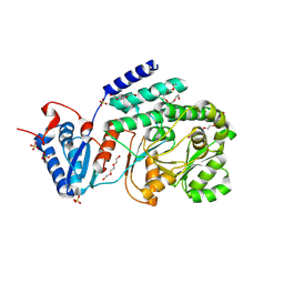 BU of 9c2r by Molmil