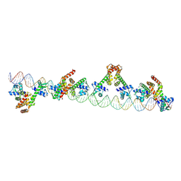 BU of 9c4d by Molmil