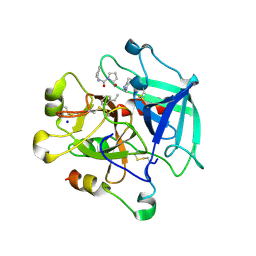 BU of 9c50 by Molmil