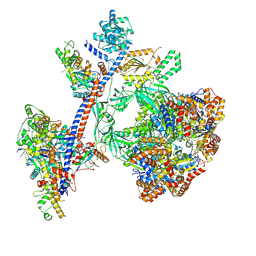 BU of 9c57 by Molmil