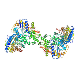 BU of 9c5y by Molmil