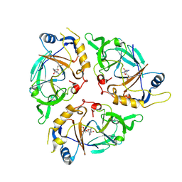 BU of 9c6l by Molmil