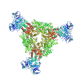 BU of 9c77 by Molmil