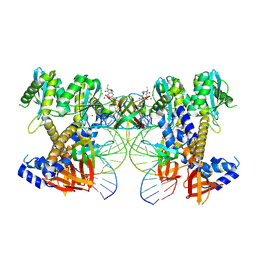 BU of 9c9m by Molmil