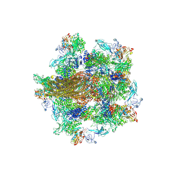 AU of 9cbc by Molmil