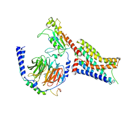 BU of 9cbl by Molmil