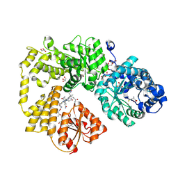 BU of 9cbp by Molmil