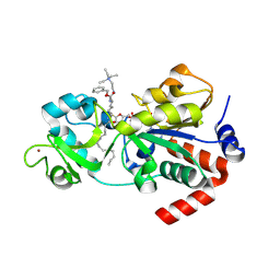 BU of 9cbt by Molmil