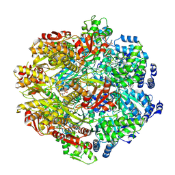 BU of 9cc0 by Molmil