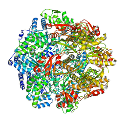 BU of 9cc1 by Molmil