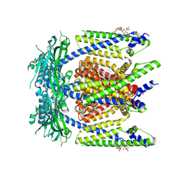 BU of 9cc2 by Molmil