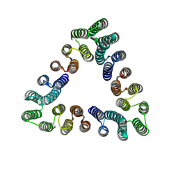 BU of 9cc4 by Molmil