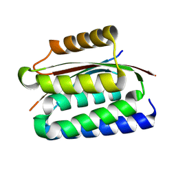 BU of 9cc6 by Molmil