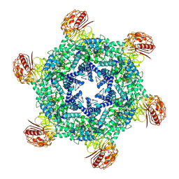 BU of 9cc8 by Molmil