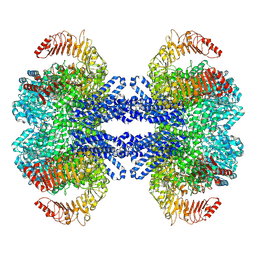 BU of 9cc9 by Molmil