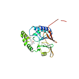 BU of 9cd1 by Molmil