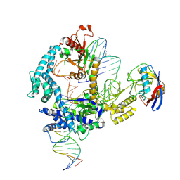 BU of 9cf0 by Molmil