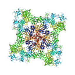 BU of 9cgp by Molmil