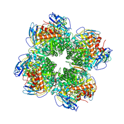 BU of 9ci2 by Molmil