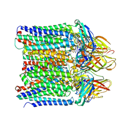 BU of 9cl1 by Molmil