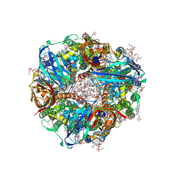 AU of 9cl2 by Molmil