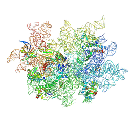 BU of 9cl9 by Molmil