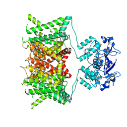 BU of 9cla by Molmil