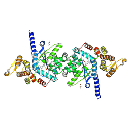 BU of 9cll by Molmil