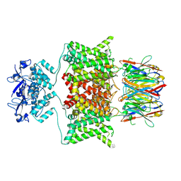 BU of 9con by Molmil
