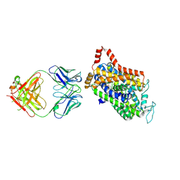BU of 9cp4 by Molmil