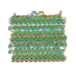 BU of 9cpc by Molmil