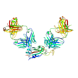 BU of 9cpp by Molmil