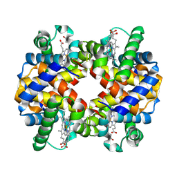 BU of 9cqq by Molmil