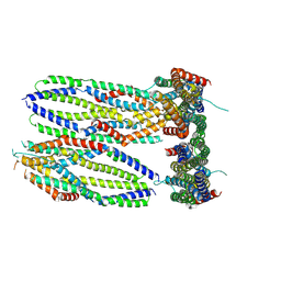 BU of 9crw by Molmil