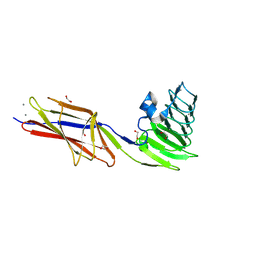 BU of 9cse by Molmil